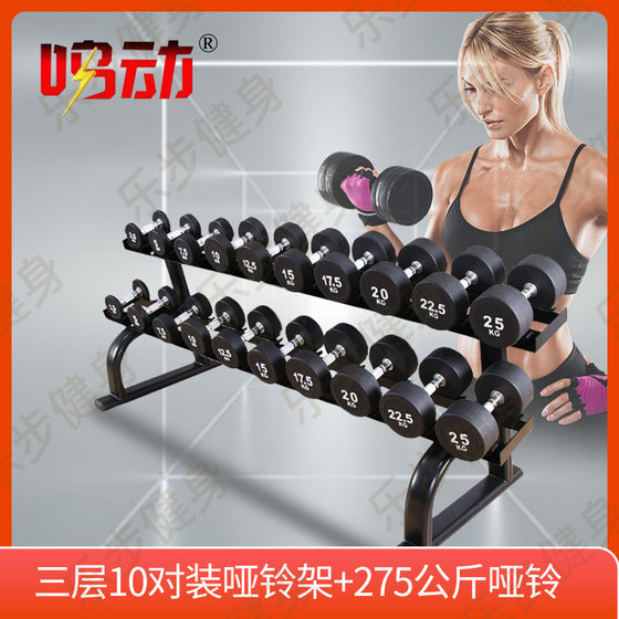 Commercial Gym Double-Layer 10-Pair Dumbbell Rack Gym Dumbbell Holder Fitness Equipment Dumbbell Rack