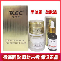 Leaner Grass Sooner and later Frosty Spot Cream Plant Cream Meme Lotion also Yan Ginseng Plant Beauty Cream Official Flagship Store