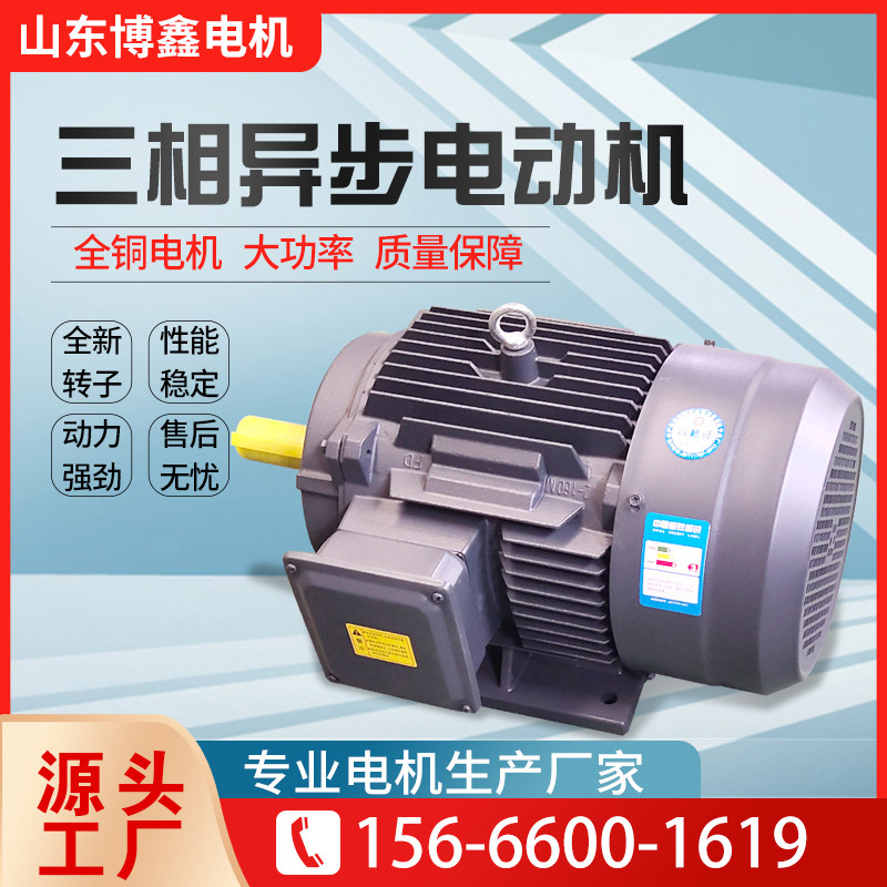YE3 three-phase asynchronous motor full copper core national standard electric motor motor frequency conversion throttle 220V 380V customizable