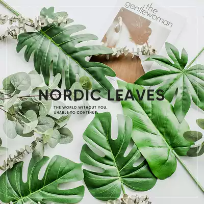 Simulation hand feeling turtle back leaves spring rain round leaf eucalyptus Net red leaves green plant flower arrangement decoration Nordic ins shooting props