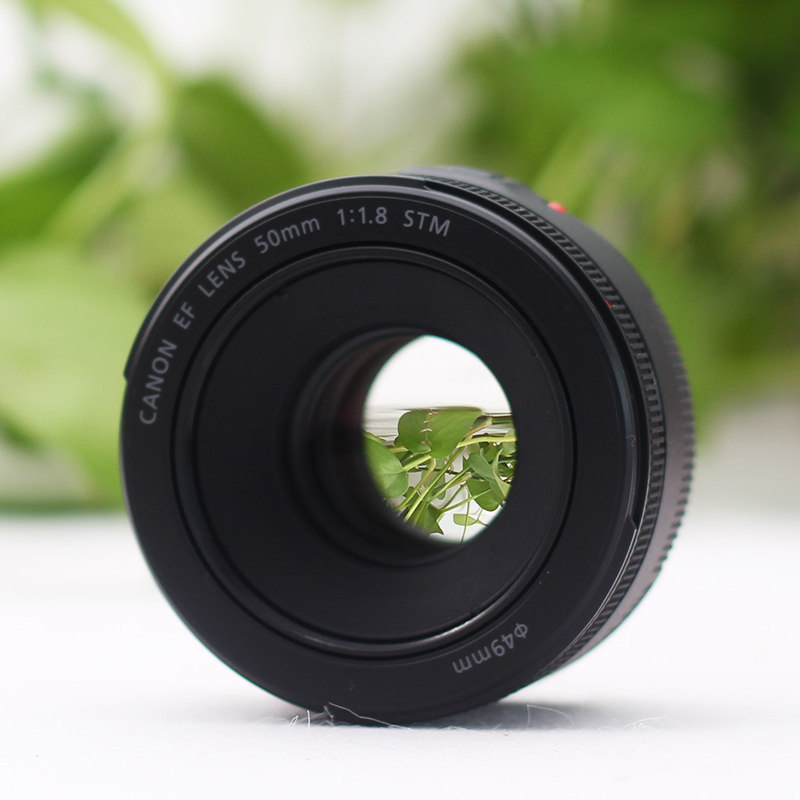 Canon 50 1.8 Фото