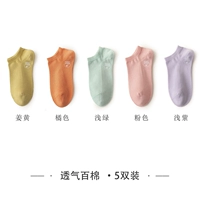【5 двойной мгновенный】 422045-1 Ginger_ 【_ 【【_ Pink _ Light Purple
