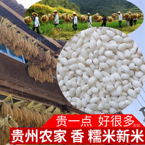 Guizhou glutinous rice new rice wrapped rice dumplings glutinous white rice 5 pounds of farm specialty rough glutinous rice grains