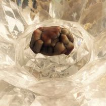 Shakyamuni Buddhas Scapular Gu Qiuzi Bound for the Relic Pagoda Gawu