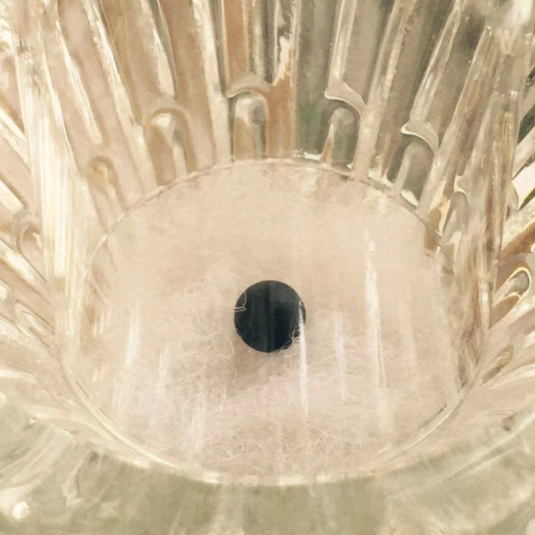 Black Wenshu strong sub-rock storage took out special bond