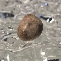 Sri Lanka Vajrayana Bodhisattva Strong son with eyes Rare One Gawu Stupa mounted collection