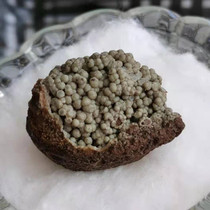  Shakyamuni Buddhas native head has proliferated in large quantities and there is only one relic offering