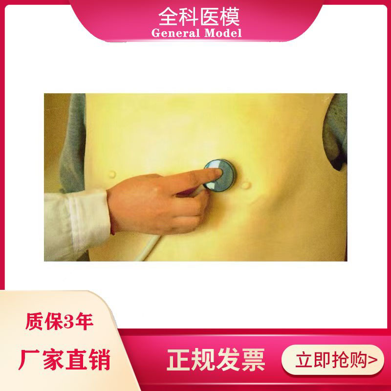 心肺听诊训练模型背心式临床病理性心音肺音体格检查练习模具假人