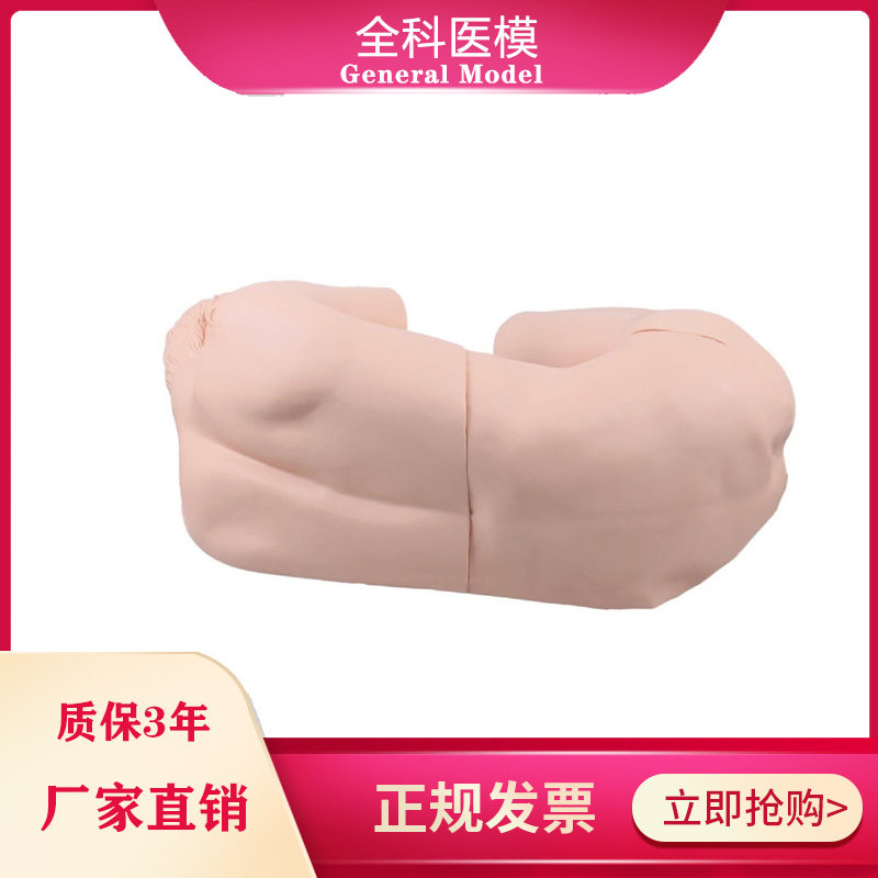 成人腰椎穿刺训练模型腰麻硬膜外阻滞尾、骶骨、腰交感神经阻滞