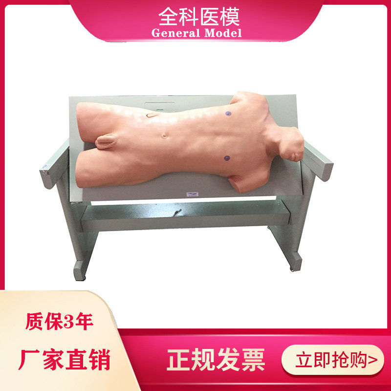 综合穿刺术与叩诊检查仿真标准化病人颈股静脉注射胸膜腔骨髓模型