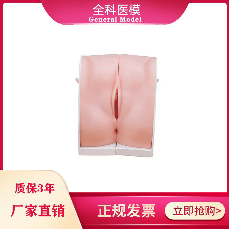 避孕指导模型 女性宫内节育器上环取环训练模型 妇科教学用模型