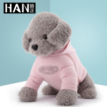Hengzheng cartoon hand warm treasure hot water bag charging explosion-proof plush cute Korean version of water injection baby Electric warm treasure