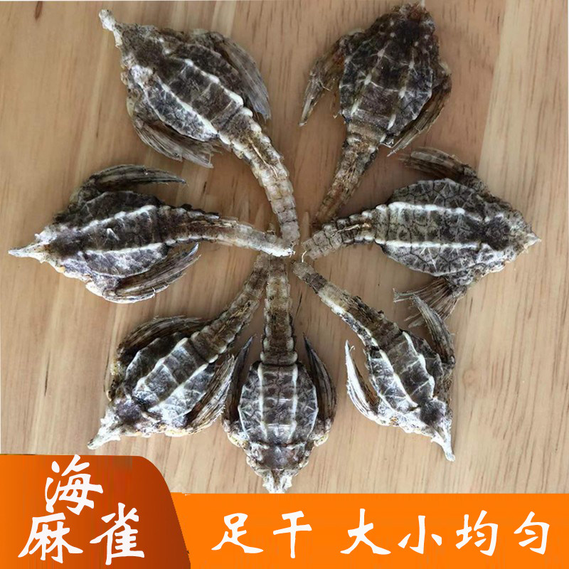 Sea Swallow Dog Sea Dry Sea Spill Sea Moth Fish Sea Yan Hai Tian Sea Dragonfly Pharaozygous Soup