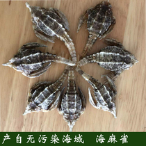 Sea sparrow sea swallow dried goods soaked wine Chinese herbal medicine nourishing starfish seabed coconut soup material Guangxi Beihai specialty