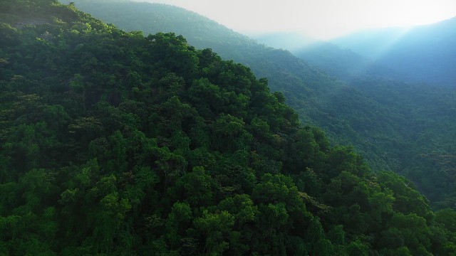 【实拍视频】绿色山坡上的光线-PoseAe-PoseAe