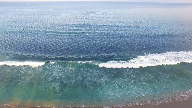 【实拍视频】海滩和棕榈树的航拍-PoseAe-PoseAe