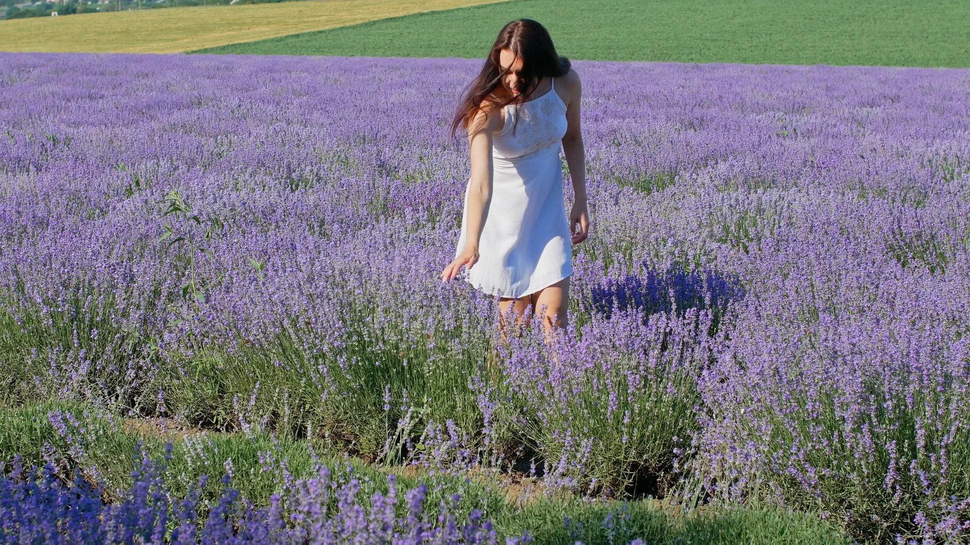 【实拍视频】女子走过薰衣草田-PoseAe