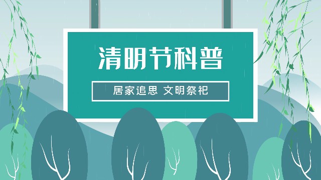 【AE模板】清明节科普MG动画-PoseAe