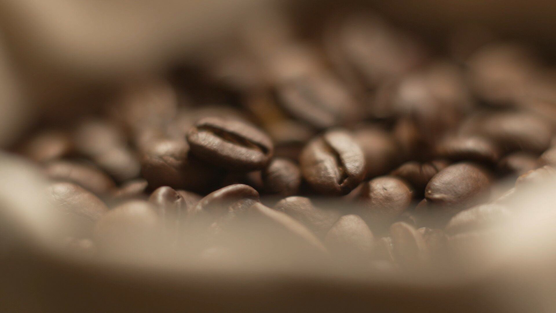 【实拍视频】洒落咖啡豆大特写-PoseAe