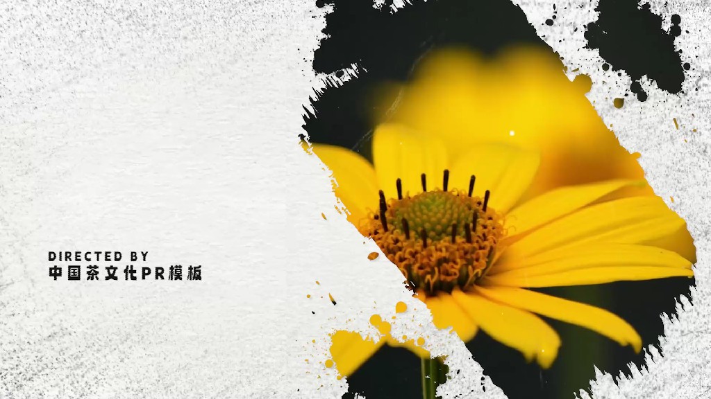 【PR模板】中国风茶文化水墨PR模板-PoseAe