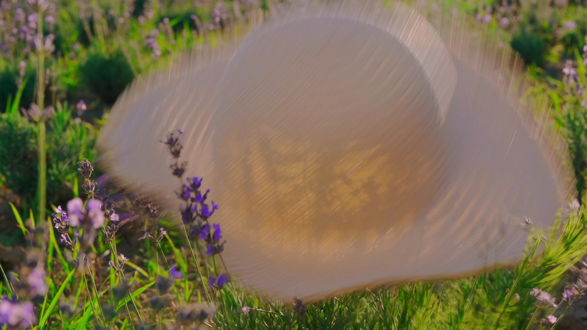 【实拍视频】帽子落在花朵上-PoseAe