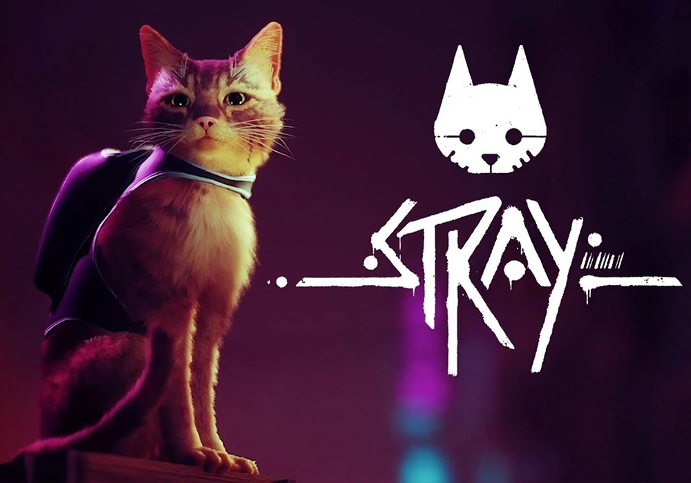 《迷失（Stray）》-网灵游戏-畅玩3A大作