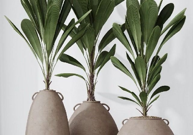 【3D模型】艺术盆栽绿植 3D 模型-PoseAe