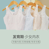 Girls' Underwear Developmental Elementary School Summer Thin Cotton Children's Bra Modal Antibacterial Vest Girls