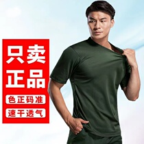 Short-sleeved suit mens round neck summer quick-drying martial arts shirt shorts physical training suit new training t-shirt