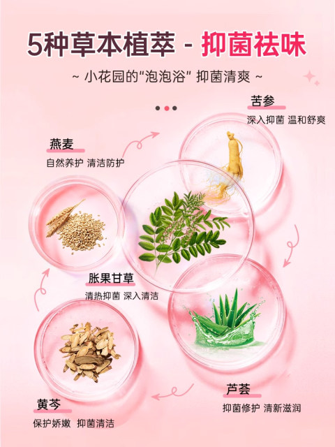 Fuyanjie Private Part Washing Liquid Female Private Care Vulva Washing Antibacterial Lotion Jieyinkang Cleaning Liquid