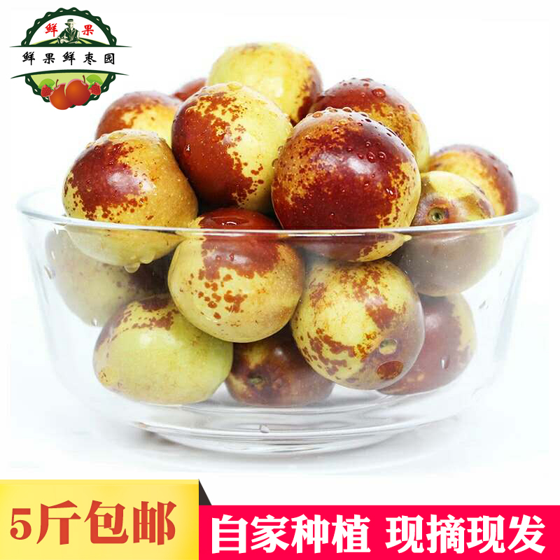 Winter jujube, fresh 5 kg jujube, crispy sweet jujube, seasonal fruit, full box Shandong Zhanhua Dongzao, fresh jujube, green date
