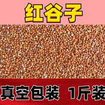 Red Valley Subbird Food With Shell Millet Bird Food Tiger Peel Peony Jade Bird Parrot Pigeon Vin Bird 1 catty Vacuum Packing