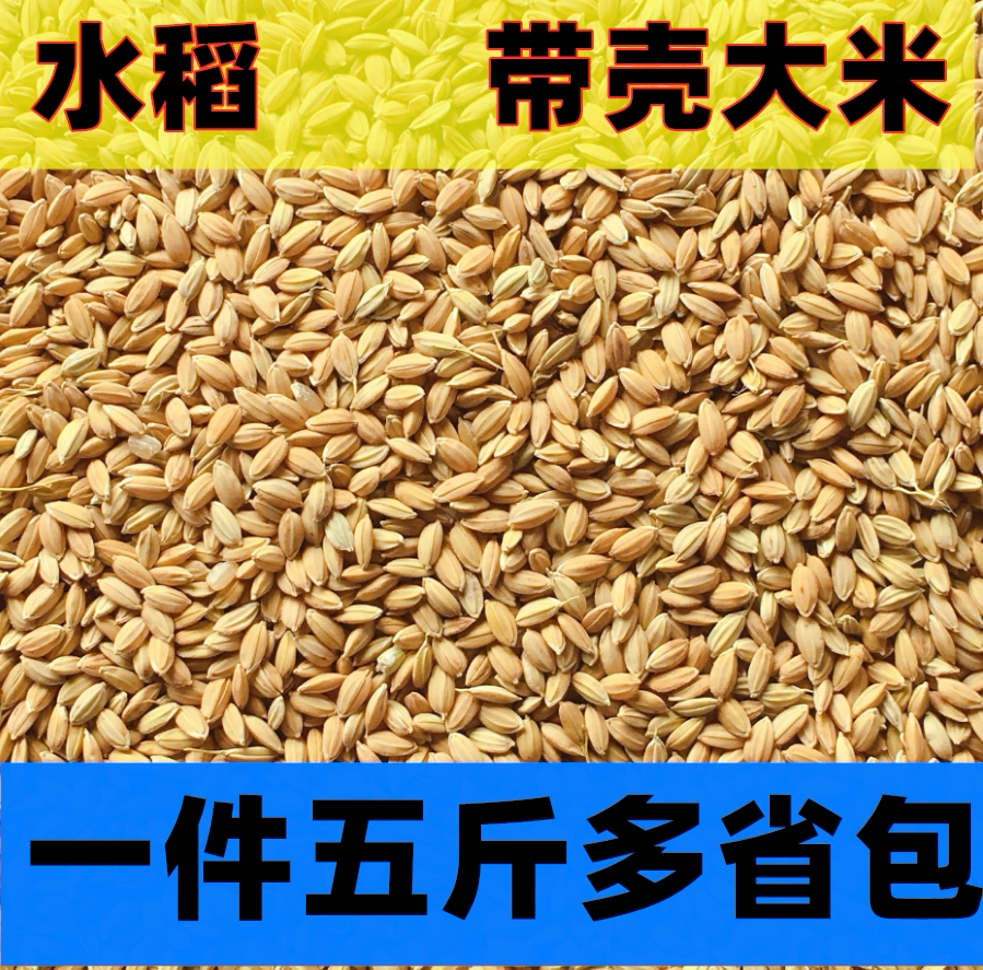 Rice bird food snacks rice bird food parrot parrot hamster rice shelled pigeon 5 catties feed