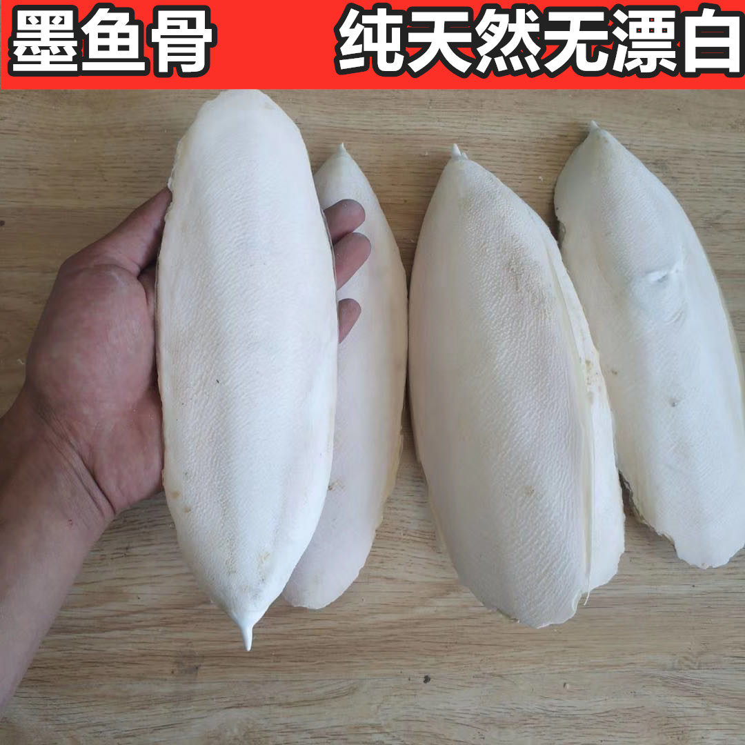 Tiger peony parrot hamster turtle disinfects calcium ink bone sea slug desalination of one pound