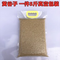 New Large Grain Yellow Valley Subband Shell Millet Parrot Tiger Leather Peony Hyun Phoenix Bird Food Bird Food 5 Cati Vacuum Packing