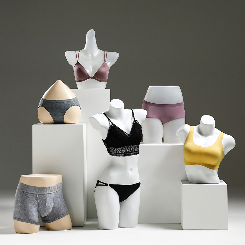 Lingerie Model Props, Female and Male Half-Body Matte White Bra and Underwear Plastic Mannequins, Window Display Display Stand for Clothing