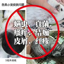 Floral sage mite care Fungal Knots Scab Leather Dutch Pig Guinea Pig calf Horse Dermatology Rabbit Dragon Cat