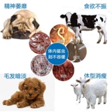 Пиромоновые таблетки Зверь Использование немецкого пасти, скота, овец, собаки, курицы, курицы, больших домашних животных, больших домашних животных, вредителей, насекомых, 100 таблеток