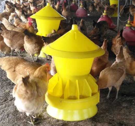 Fixed Chicken Stock Bucket Feed Bucket Automatic Baiting Bucket Drink Instrumental Feeding box trough Dietary Trough Plastic