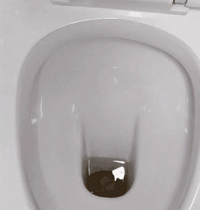 06.gif