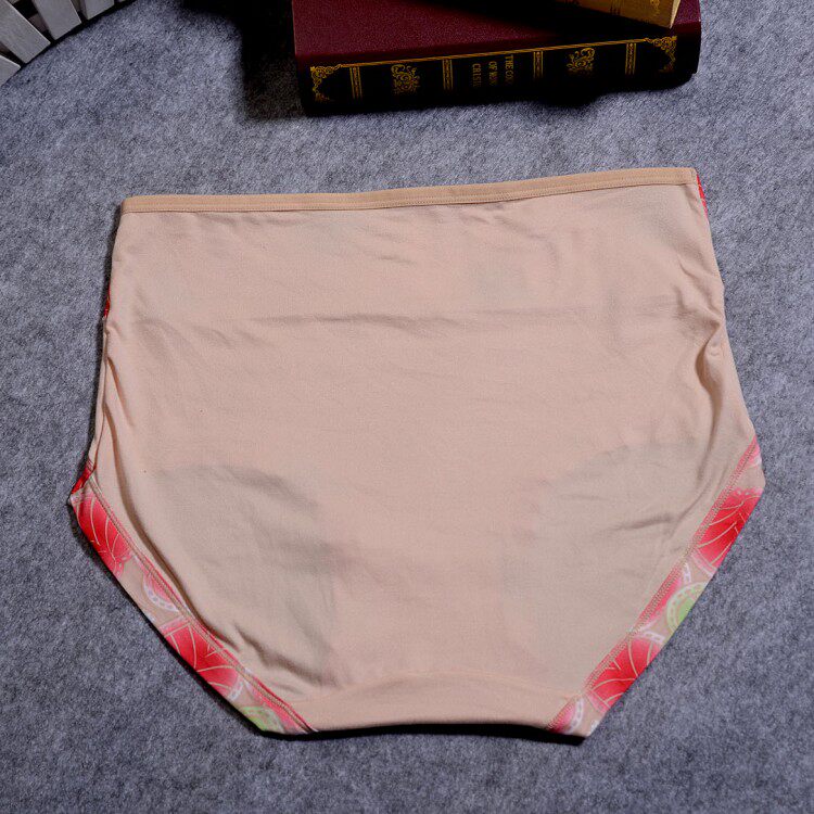 Slip Moyen-âge simple en coton - Ref 653830 Image 17