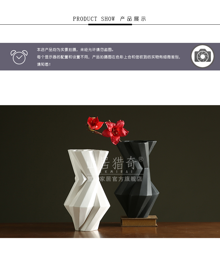 Modern living room between example art flower arranging furnishing articles Nordic geometric flower implement, black and white pigment ceramic vase