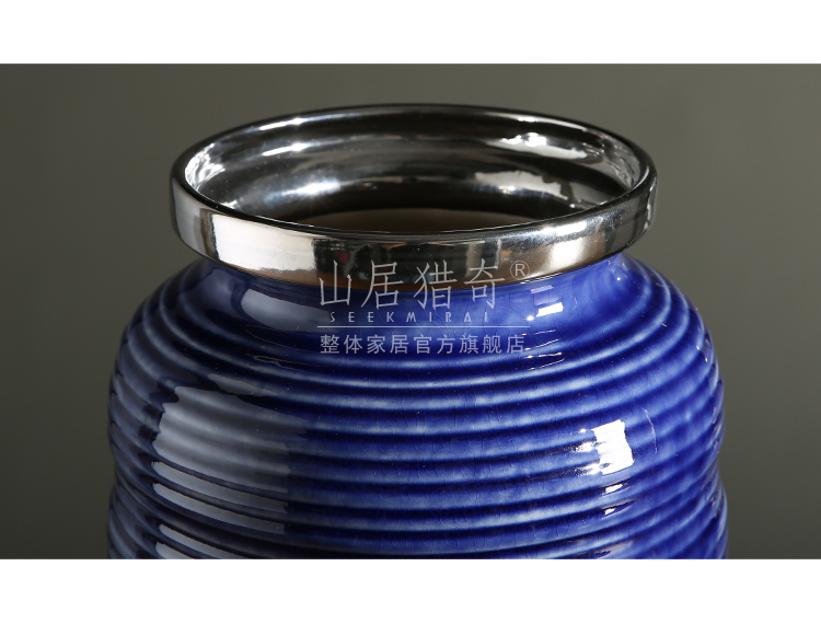 Modern example room living room decoration ceramics vase furnishing articles household act the role ofing is tasted flower arranging Jin Bianxuan grain round bottle expressions using