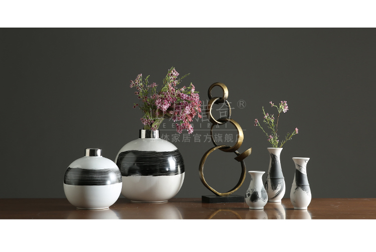 Nordic contracted small expressions using ball vase Chinese ink painting vases, pottery flower arranging example room living room table furnishing articles