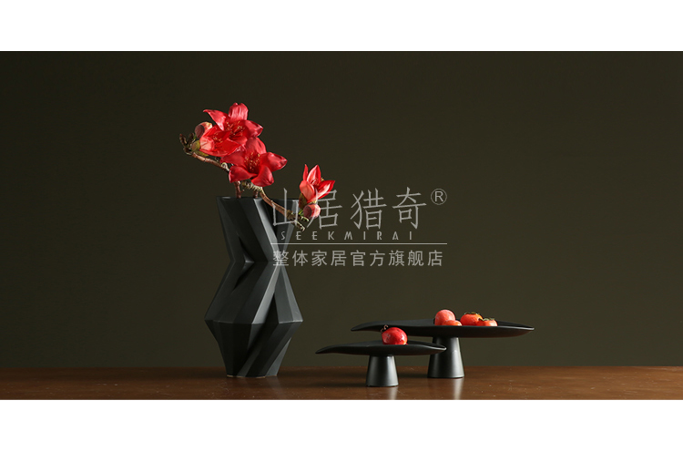 Modern living room between example art flower arranging furnishing articles Nordic geometric flower implement, black and white pigment ceramic vase