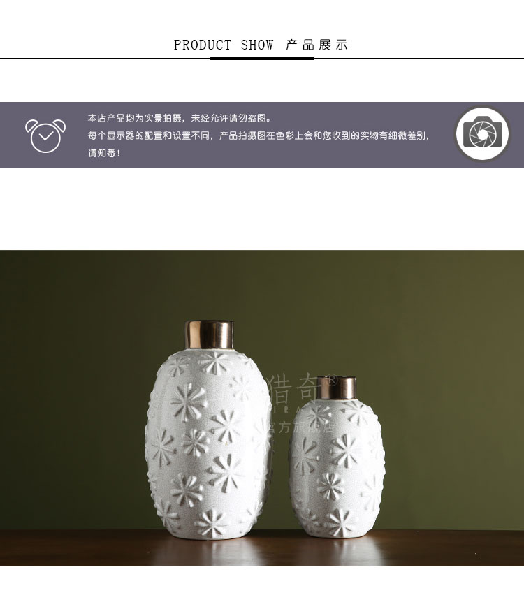 White ceramic vase modern creative household porcelain arts and crafts flower arranging machine sitting room place snowflakes embossed bottle