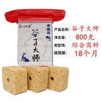 Liu Zhiqiang Valley Sub Master Mighty Nest 800 gr Black Pit Lake Kuano Fishing Carp Carp Grass Carp Nest