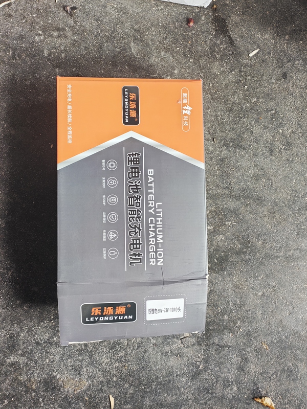 Electric Vehicle Charger 12V24V36V48V60V72V84V100V120V150V180V200V220V