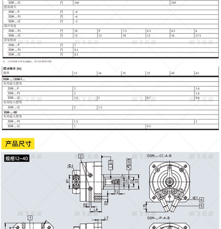 Xi lanh xoay kiểu cánh gạt DSM12-16-25-32-40/270-PA Trình điều khiển xoay tác động kép xi lanh khí nén mini cũ xi lanh khí nén 2 hành trình