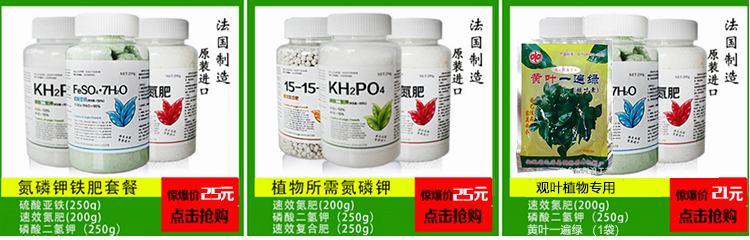 Nguồn cung cấp vườn, đất nung, đồ gốm, bóng carbon, phòng ngừa rễ thối, ceramsite 300g chậu trồng hoa